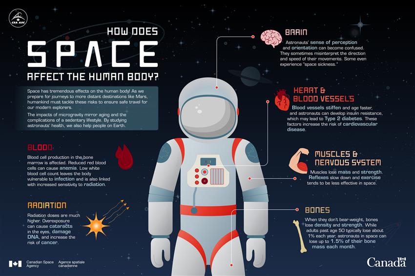 Health Challenges In Space Innovaspace 